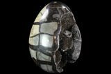 Septarian Dragon Egg Geode - Black Crystals #88529-1